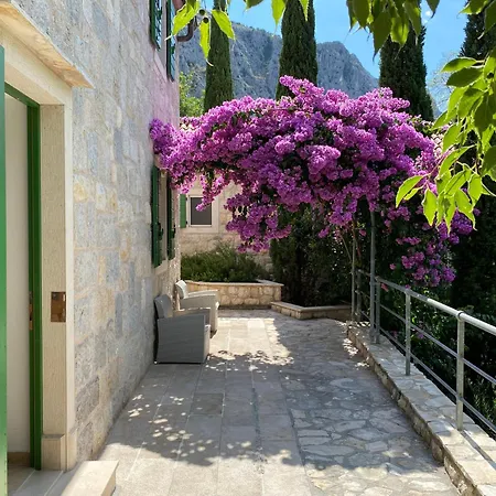Zeleni Raj أوميس